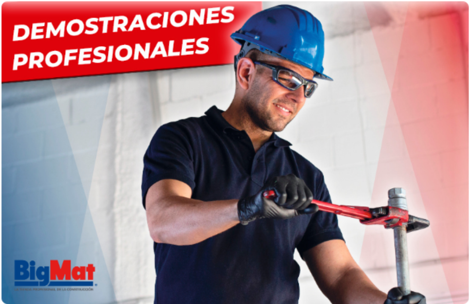 Semana del Profesional